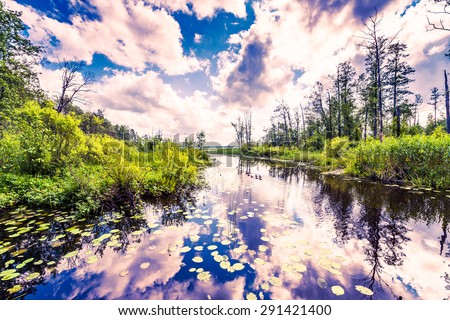 Cumulus clouds over the forest lake where ducks. Image in the orange-blue toning