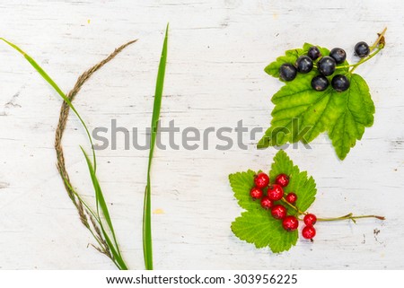 Red currants and black currants with grass on old wooden table