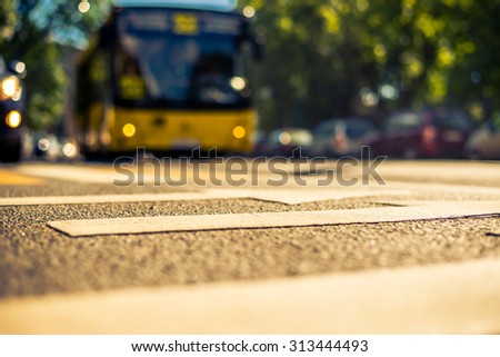 Clear day in the big city, a passenger bus rides through the streets near the park. View from the pedestrian crossing, image in the yellow-blue toning