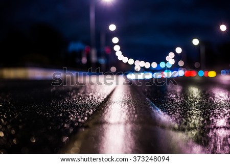 Rainy night in the big city, highway passing through a forest in the city park. View from the level of the dividing line, in blue tones