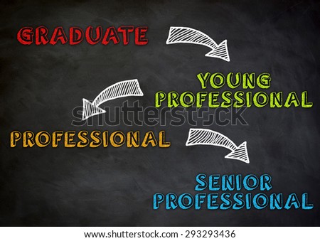 career steps from graduate to senior professional