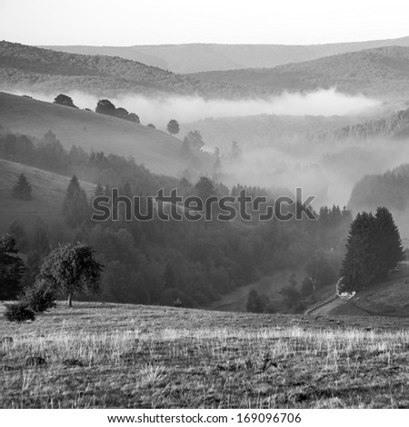 Black and white romanian mountain landscape with fog and trees