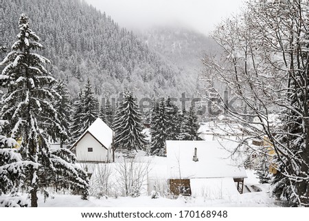 Winter mountain landscape with fir trees and cottages in Retezat Mountain, Romania