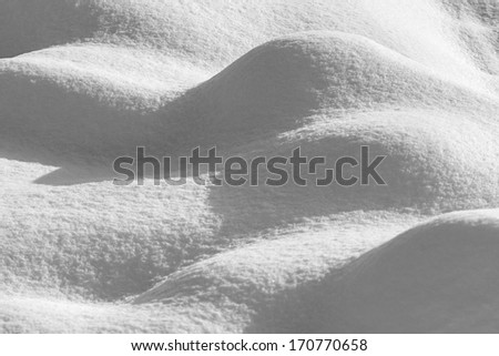 Abstract minimalistic snow shapes with leaf and shining snow. Black and white image.