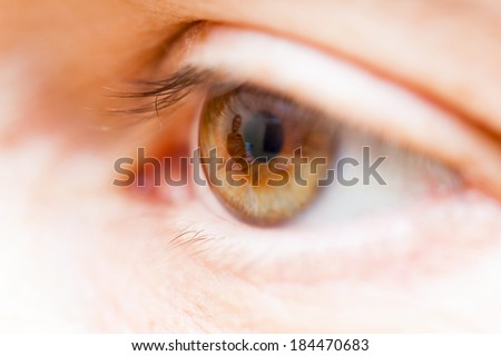 Macro photography of human brown eye with persons reflected in