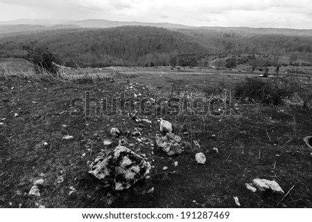 Black and white landscape with rocks and trees