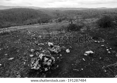 Black and white landscape with rocks and trees
