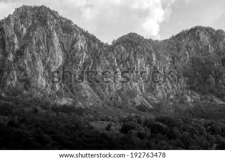 Black and white mountain landscape with trees, mountain peaks, vegetation and beautiful sky