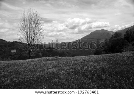 Black and white mountain landscape with trees, mountain peaks, vegetation and beautiful sky
