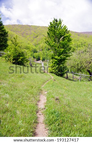 Mountain landscape with trees, small path and wooden fences