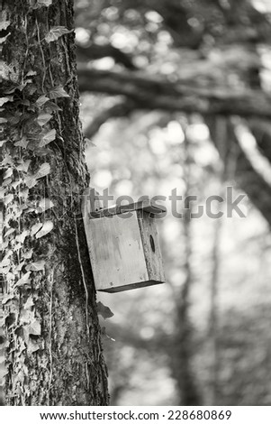 Autumn scene in arboretum with small tree houses for birds. Black and white photography