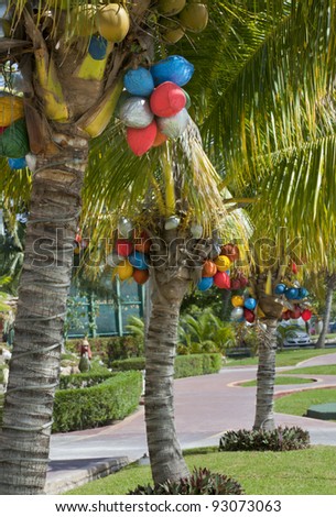 Coconuts painted different colors for the Christmas holiday season. Vacation and travel theme for the holidays.