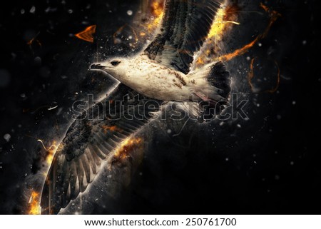 Close-up seagull in flight. Artistic grunge fury effect