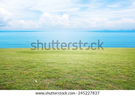 grass field and sea