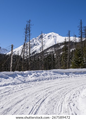 Snow-covered road in the mountains