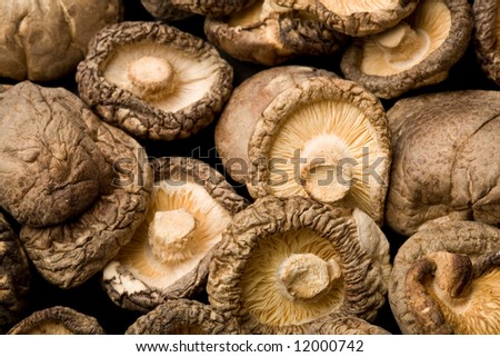 Dried Shiitake Mushrooms (Lentinula edodes)