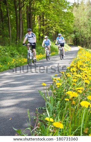 Group of people bicycling
