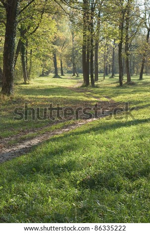 Low Light Landscape with Trail and Grassy Meadow