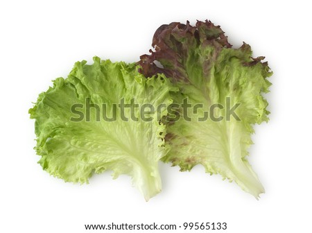 Red Leaf Vegetable