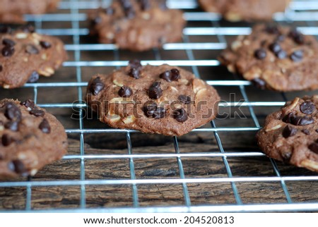 Warm, golden brown, chocolate chip cookies cooling on a rack. Shallow depth of field.