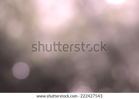 Natural blurred bokeh from trees.filtered background .