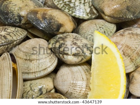 Clams with a piece of lemon to the right and the bottom outside center