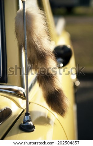 Fox tail on vintage car