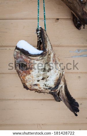 dried cod fish heads in Iceland
