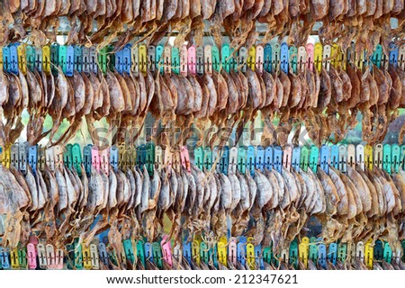 Dried Squid , street food,Thailand  / Dried Squid