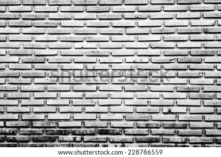 Black and white bricks wall texture background / Bricks wall texture