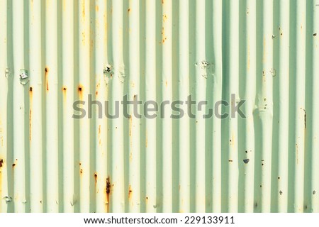 Green corrugated metal wall / Corrugated metal wall
