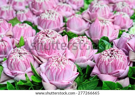 Group of pink lotus flower / Pink lotus flower