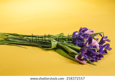 Bright fresh and tender bouquet of spring flowers for lovely people isolated on yellow background.