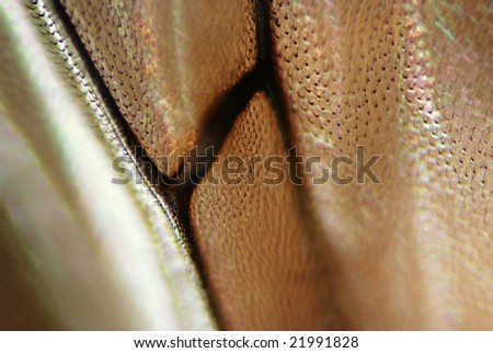 Micro shot of fly wing background
