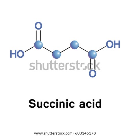 Molecular formula of succinic acid coursework