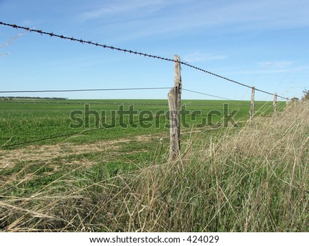 ''The grass is always greener on the other side of the fence'' - shows dead grass on your side, green on the other