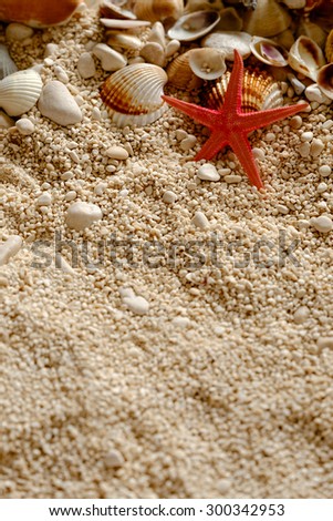 Sea shells on the sand. Postcard with copyspace. Space for text at the bottom. Shallow depth of field.