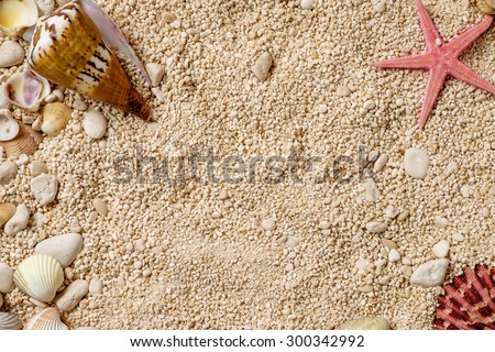 Sea shells on the sand. Postcard with copyspace. Space for text in the center.