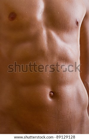 October Glory Maple Tree The October Glory Maple is one of the most popular ... stock photo belly naked male body an athlete 89129128 October Glory Maple Tree The October Glory Maple is one of the most popular ...