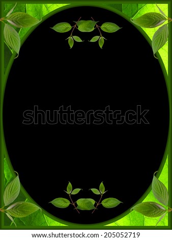 frame of leaves on black background