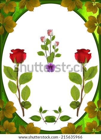 roses in the green frame on white background