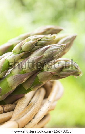 Close up of asparagus tips in basket