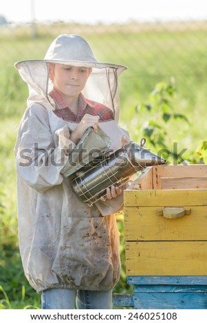 Teenage beekeeper and a seasonal honey harvesting
