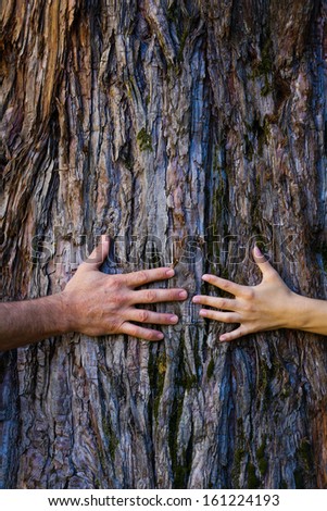 Men\'s and woman\'s hands hugging a tree