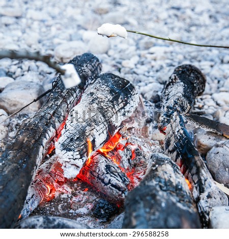 Marshmallows sticked on a twig, being toasted on a self-made campfire, family spending quality time on an adventurous camping trip. Active natural lifestyle, fun family time concept.