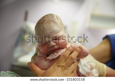 Midwife holding up a vernix covered newborn just after he was born in the delivery room, being peaceful and serene, still attached with umbilical cord. New life, birth experience concept.