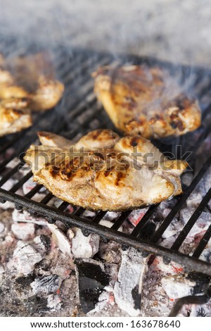 Grilled fish on the barbecue grill/Tuna fish. Grilled fish on the BBQ,