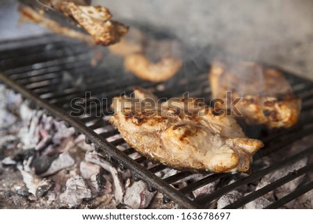 Grilled fish on the barbecue grill/Tuna fish. Grilled fish on the BBQ,