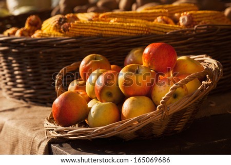 Apples in basket/Farmers market. Organic fruits and vegetables on market. Apple and corn.