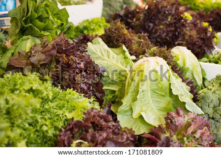 Green salad and broccoli on stand/Fresh green vegetable ready for selling on retail place.